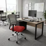 Sedus Netwin NW-100 irodai forgószék – dupla hálós háttámla